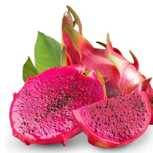 DRAGON FRUIT