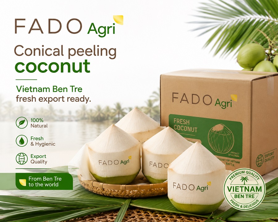 6 Types of Vietnamese Coconut Cuts: Visual Guide for Buyers
