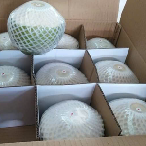 CONICAL PEELING FRESH COCONUT