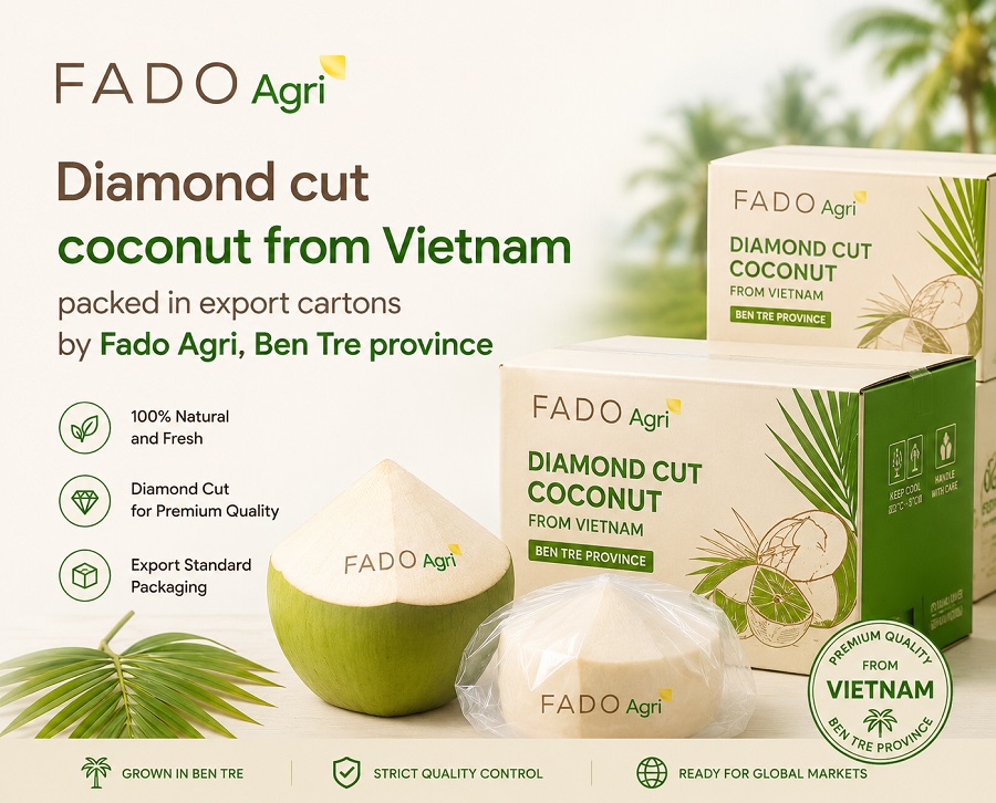 Diamond Cut Coconut from Vietnam: Specifications, Packing & Wholesale Supply
