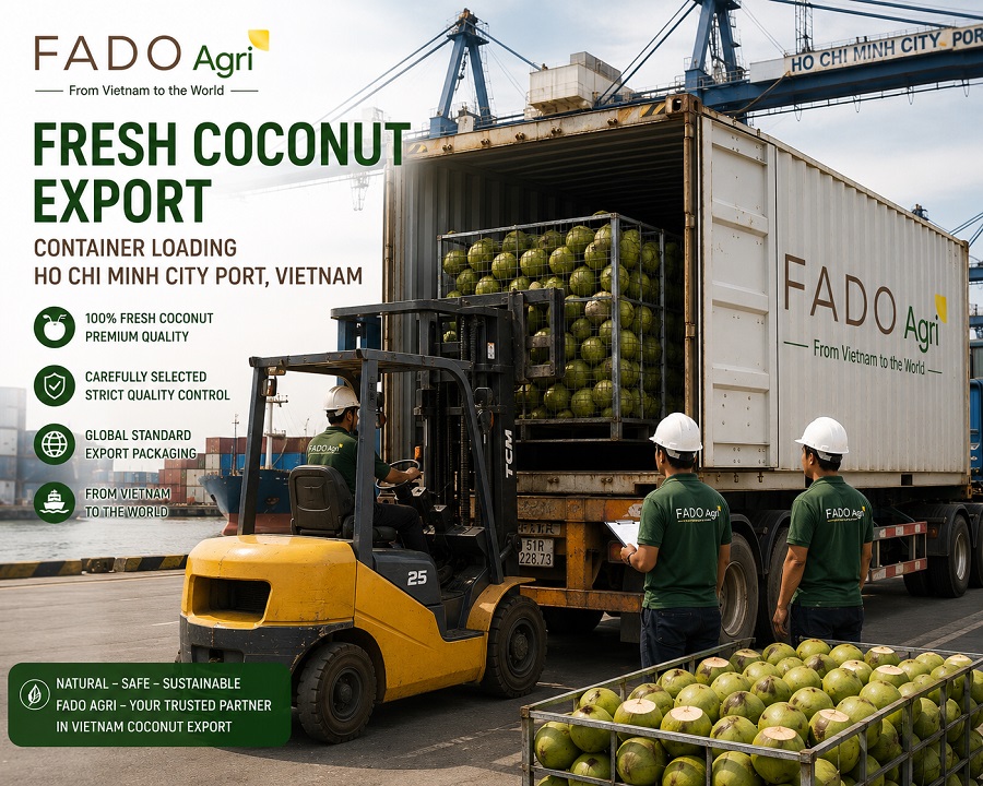 How to Import Fresh Coconut from Vietnam: Process, Documents, Lead Time, Cost