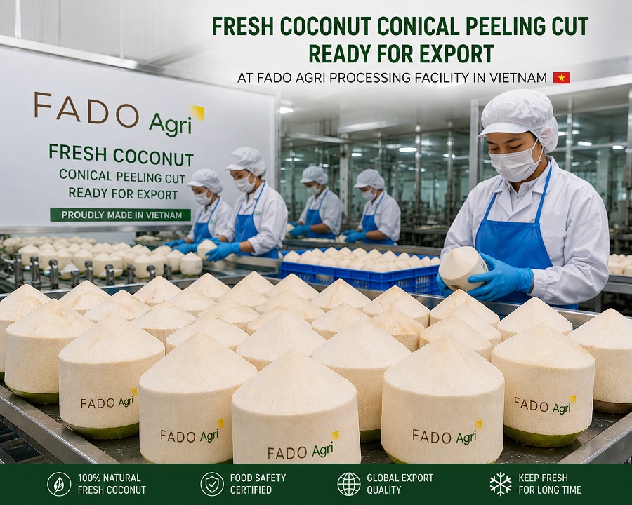 How to Import Fresh Coconut from Vietnam: Process, Documents, Lead Time, Cost