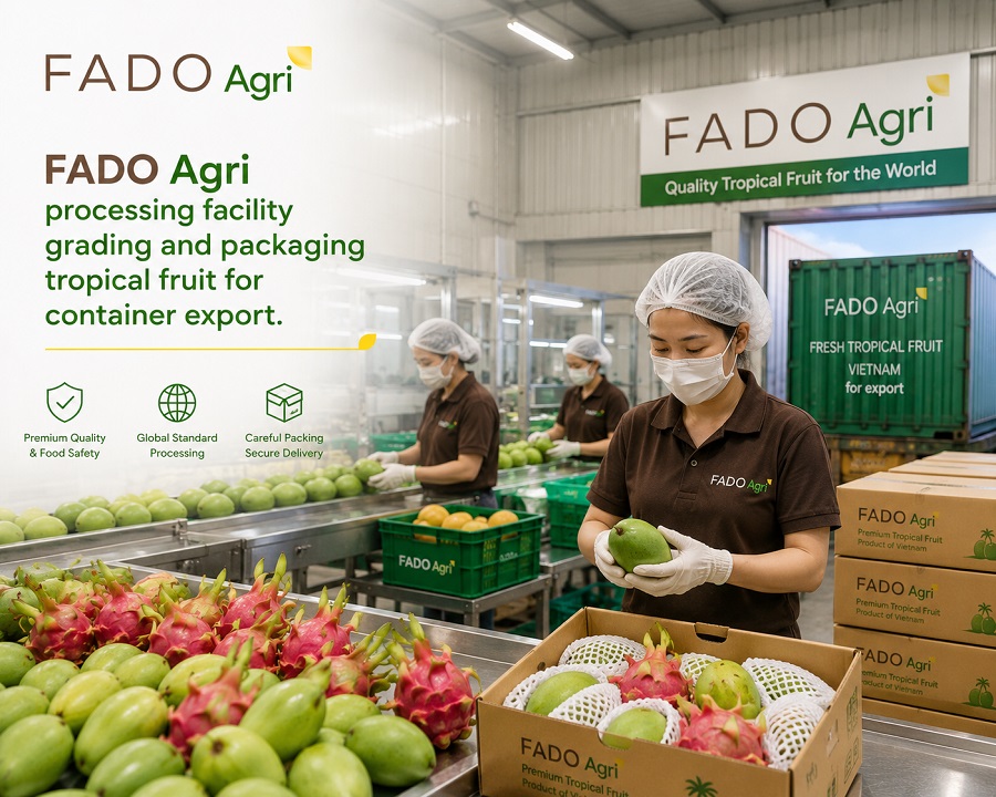 The Fado Agri Process: Behind the Scenes from Farm to Container