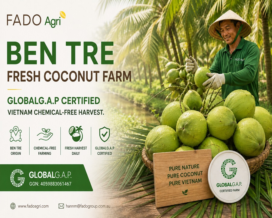 Vietnam Coconut Certifications Explained: HACCP, FDA, GLOBALG.A.P & More