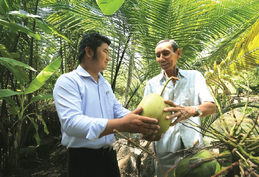 Vietnam Coconut Certifications Explained: FDA, GLOBALG.A.P, HACCP for Importers