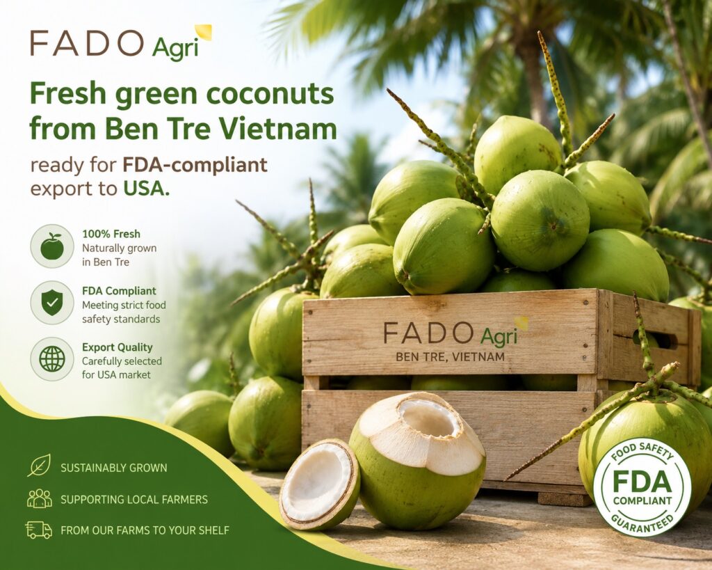 Vietnam Coconut to USA: FDA-Compliant Exports & Logistics
