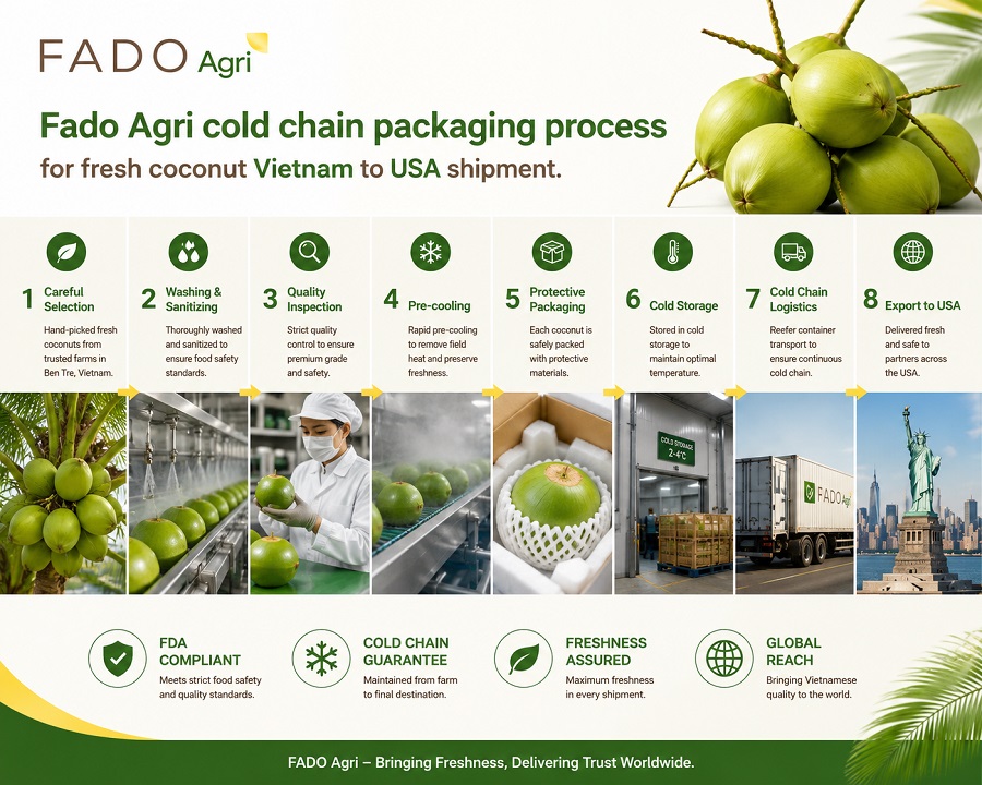 Vietnam Coconut to USA: FDA-Compliant Exports & Logistics