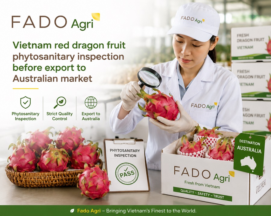 Vietnam Fruit Exporter to Australia: Bio-Security & Reliable Supply
