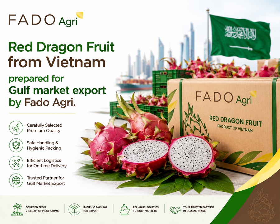 Vietnam Fruit Supplier for Saudi Arabia: Halal-Friendly Tropical Fruit Supply