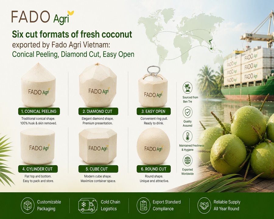 Why Vietnamese Fresh Coconuts Are Dominating Global Markets in 2026