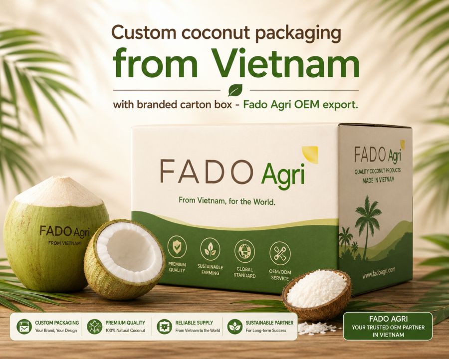Custom Coconut Packaging from Vietnam: Design, MOQ, Lead Time