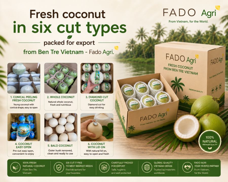Custom Coconut Packaging from Vietnam: Design, MOQ, Lead Time