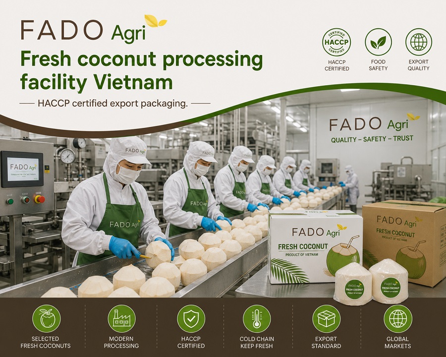 From Farm to Global Shelf: The Journey of Vietnamese Coconut Exports