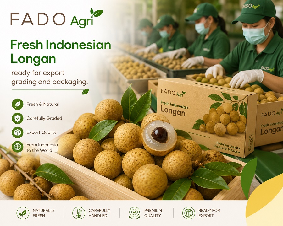 Why Indonesian Longan is becoming a preferred choice for global fruit importers?