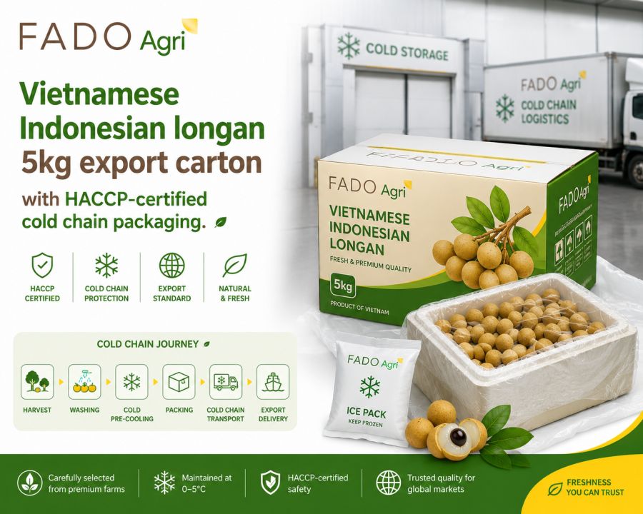 Indonesian Longan from Vietnam Supply Chain: Export Format Guide