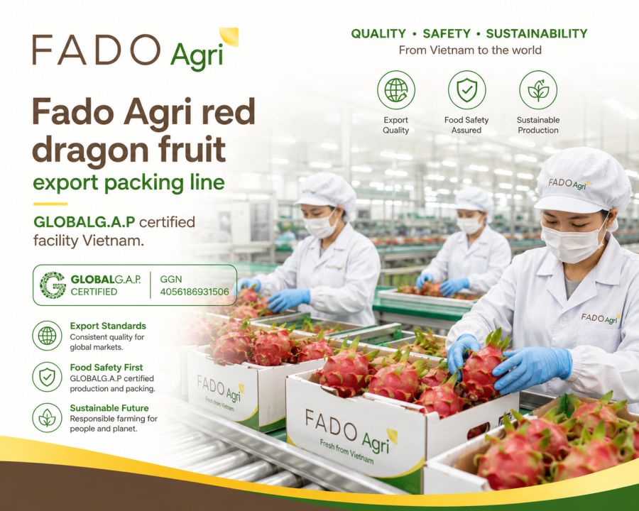 Red Dragon Fruit from Vietnam: Varieties, Season & Export Specifications