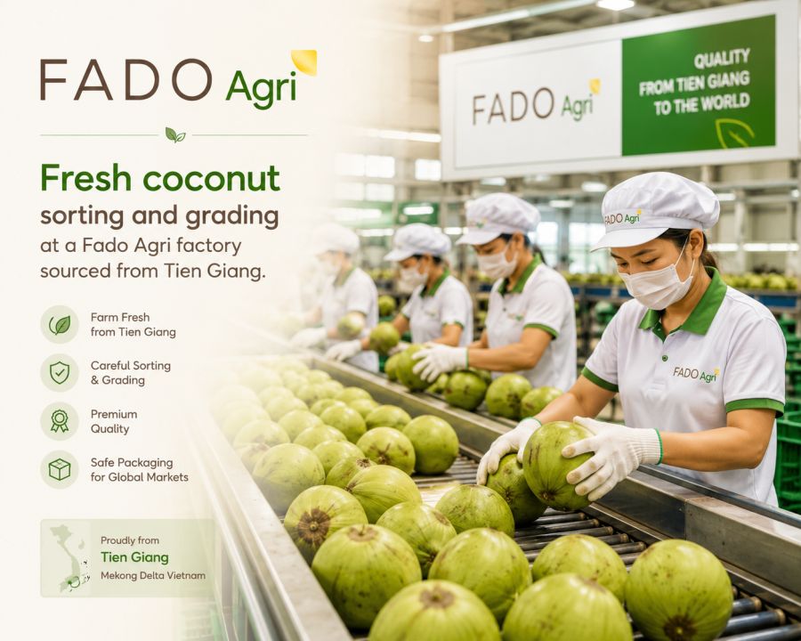 Tien Giang Coconut & Tropical Fruit Region: Sourcing Guide
