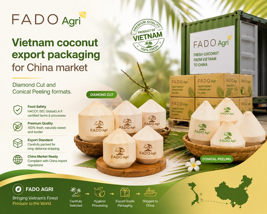 Vietnam Coconut Export to China: Cross-Border Trade Guide
