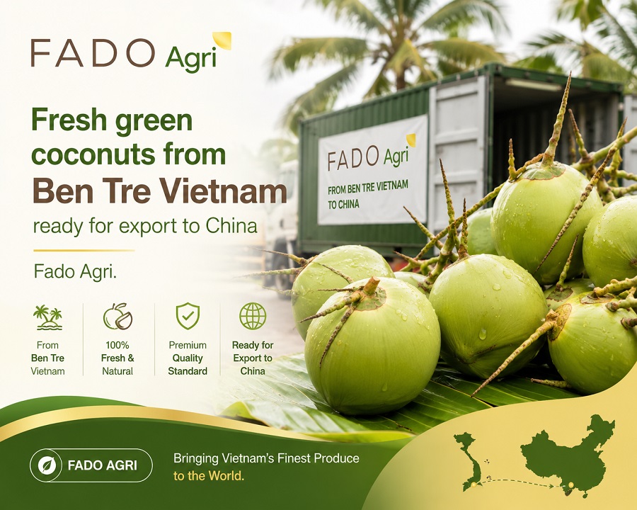 Vietnam Coconut Export to China: Cross-Border Trade Guide