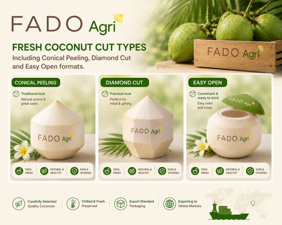 Vietnam Coconut to South Korea: Buyer's Sourcing Guide