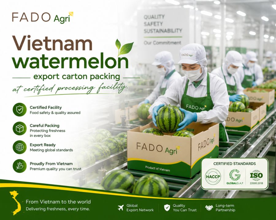Vietnam Watermelon Export: Varieties, Season, MOQ