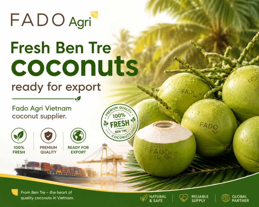 Why Ben Tre Coconut: The Mekong Delta Region Powering Vietnam's Coconut Exports