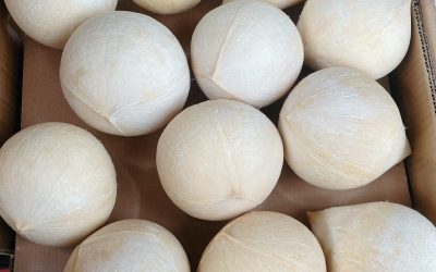Dừa gọt trọc